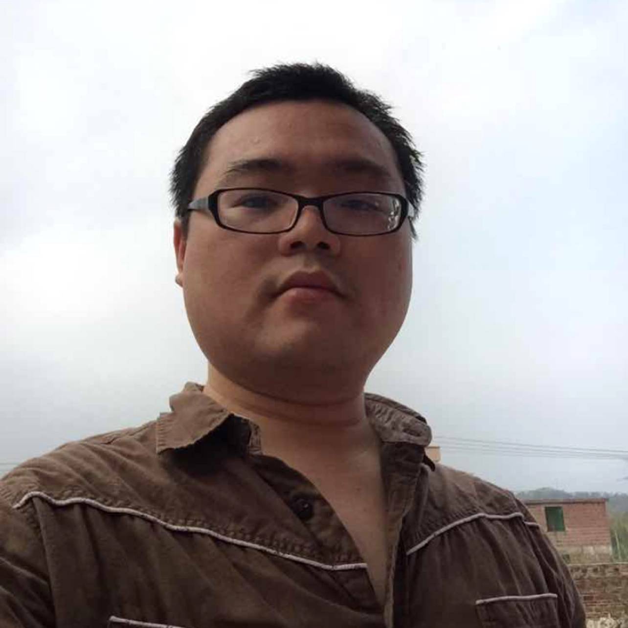 深巷的猫猫的照片