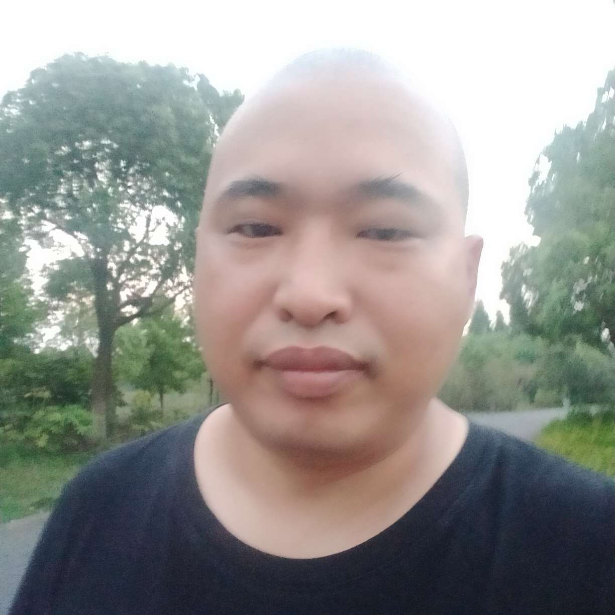 冬天里的冰的照片