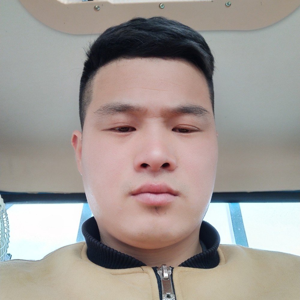 贵人鸟的照片