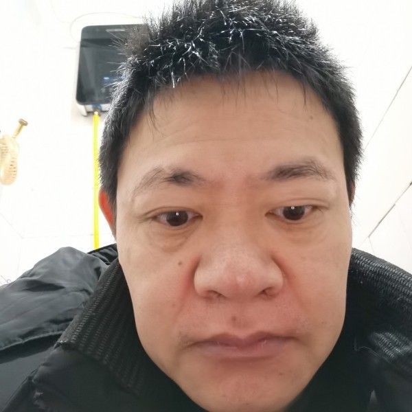 危机与芝麻的照片