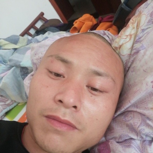 逐风丰富的照片