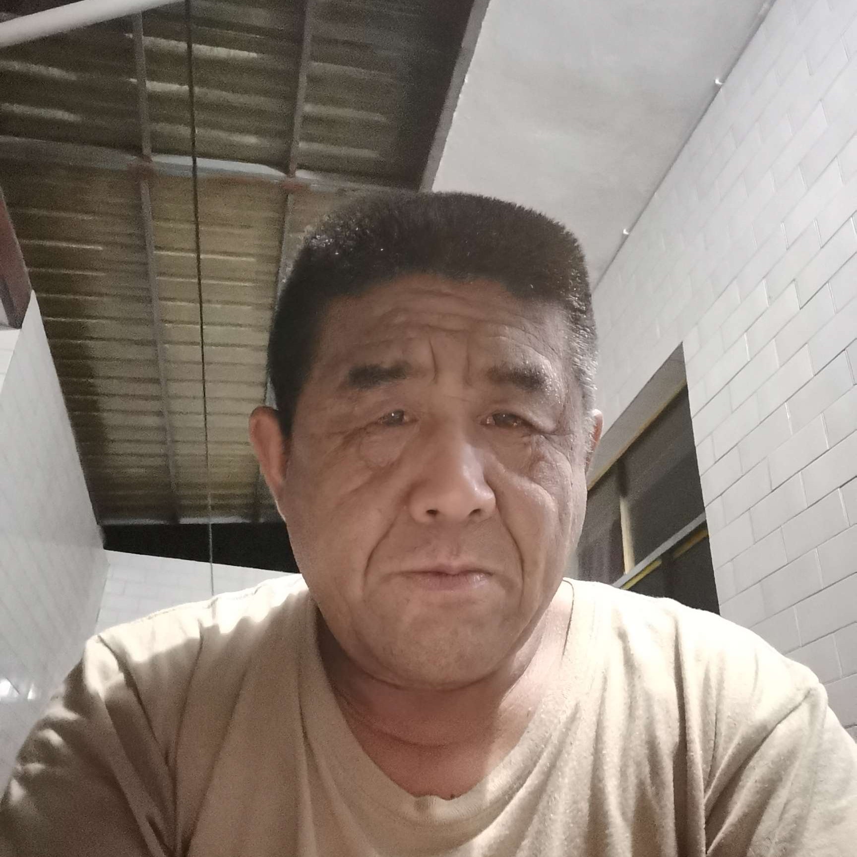 北方的虎的照片