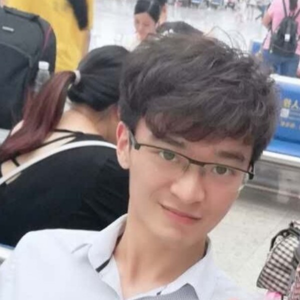 稳重蚂蚁的照片