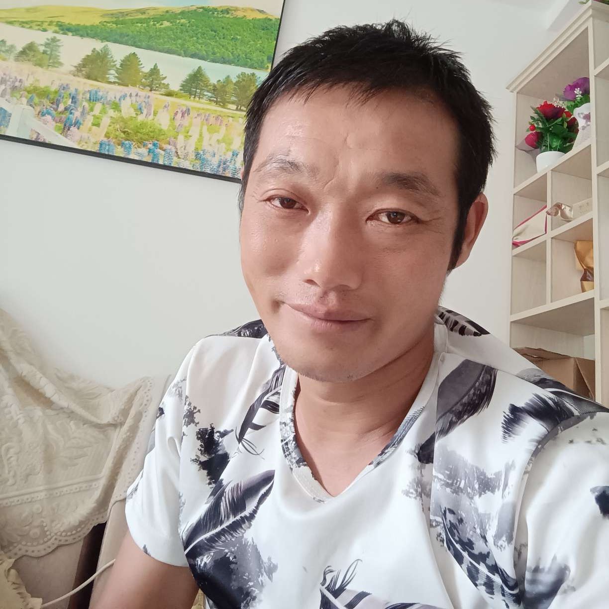 黄蜂踢儒的照片