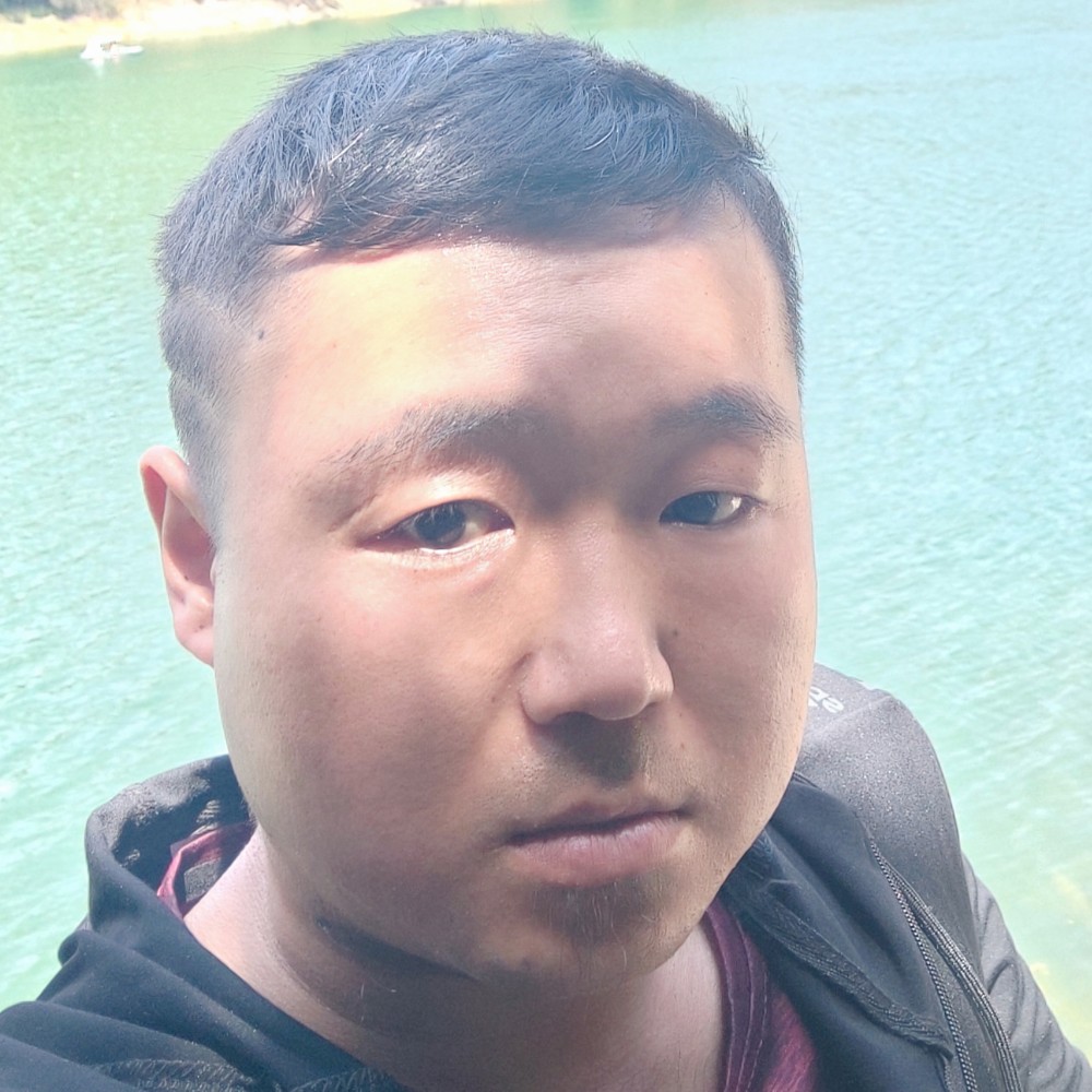 小鸽子忧郁的照片