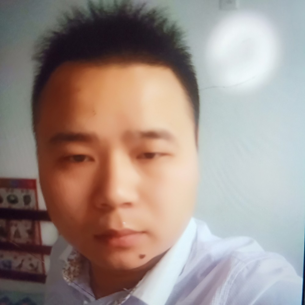 大气红玫瑰的照片