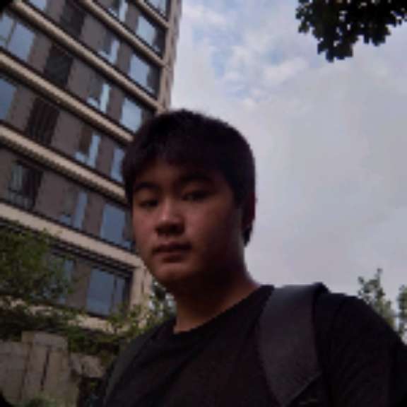 西牛那迷人的照片