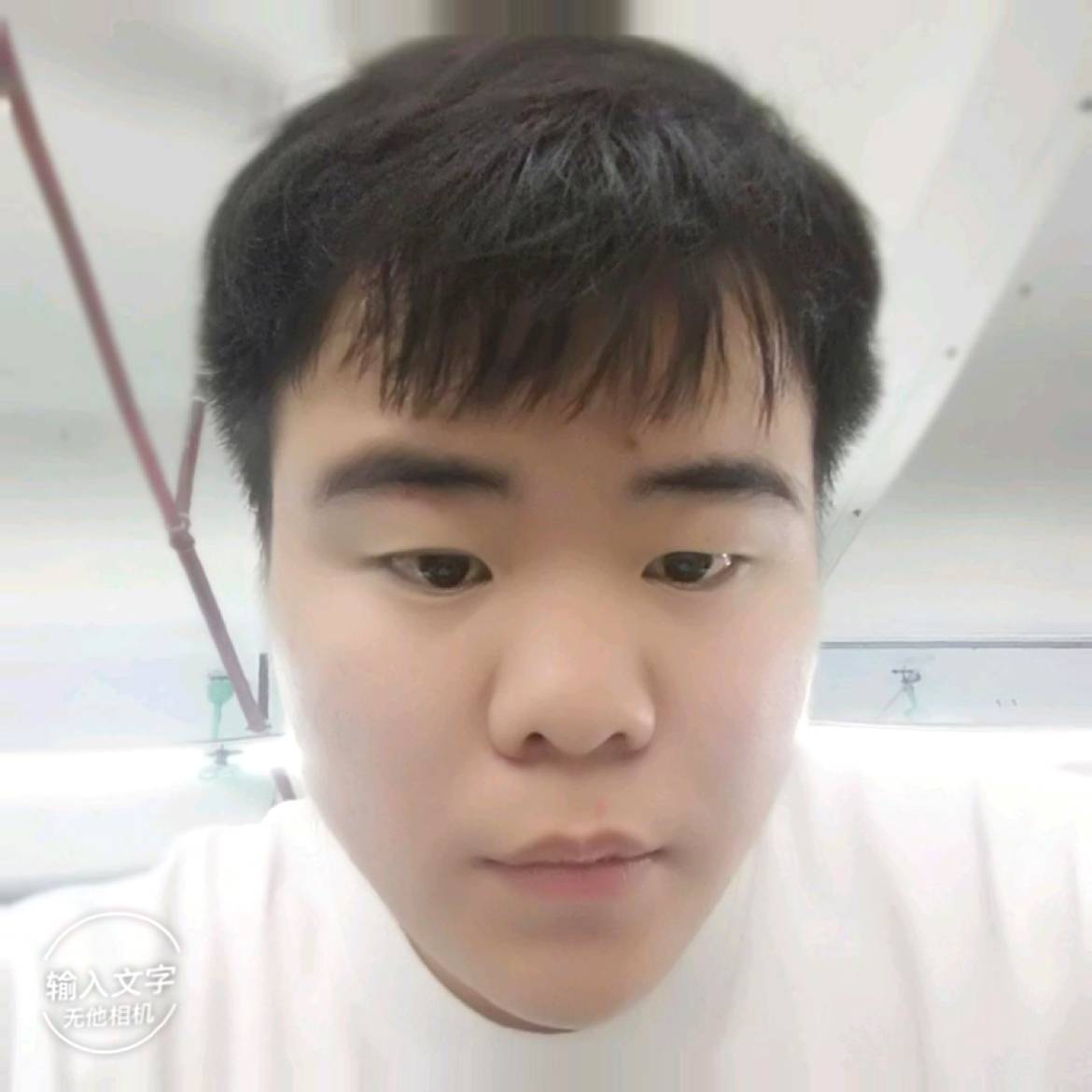 聪明爱芹菜的照片