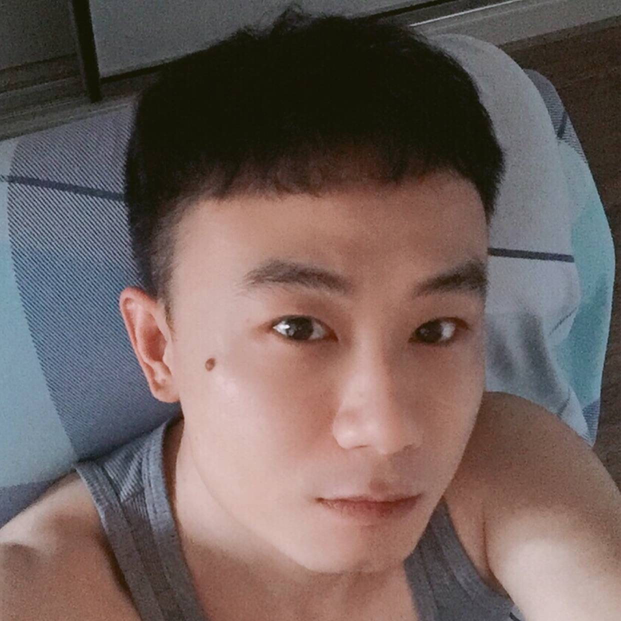 偸吻貓的魚的照片