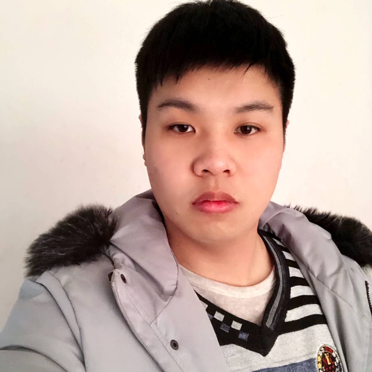 爱上夏天的蚊子的照片