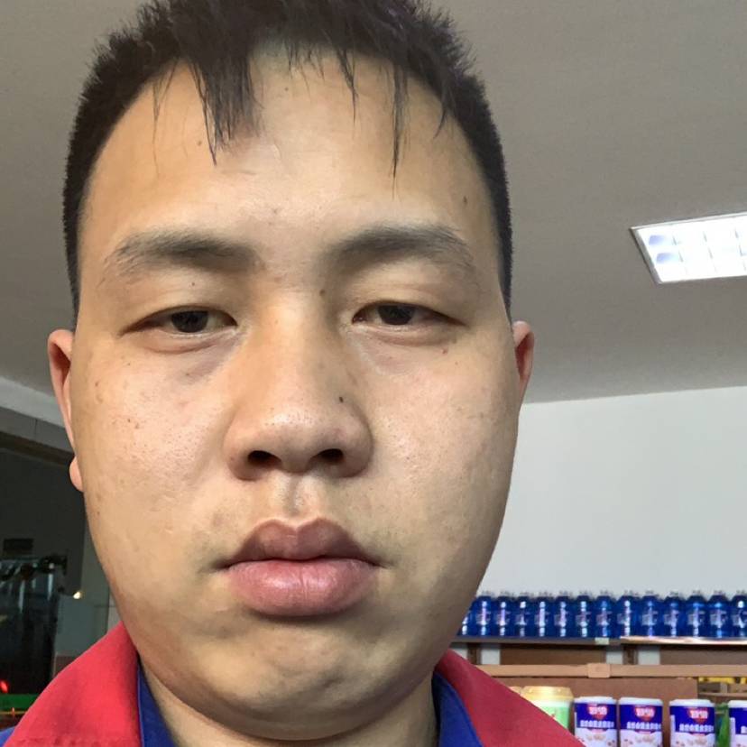 直率的野狼的照片