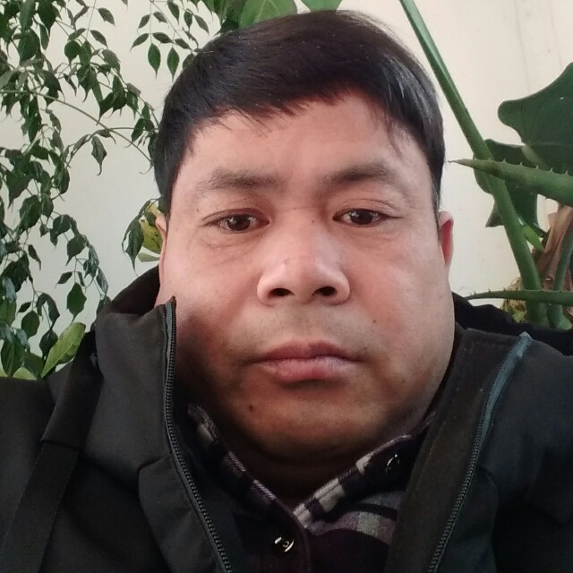 怕黑大炮的照片
