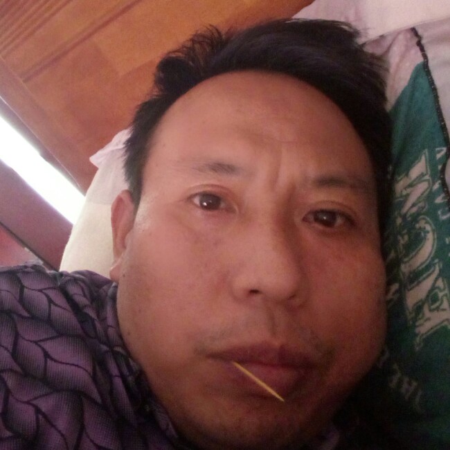 机智浅吻大炮的照片