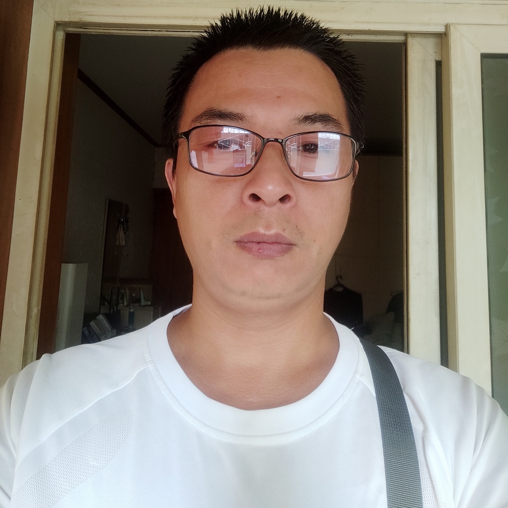 網絡陽光的照片