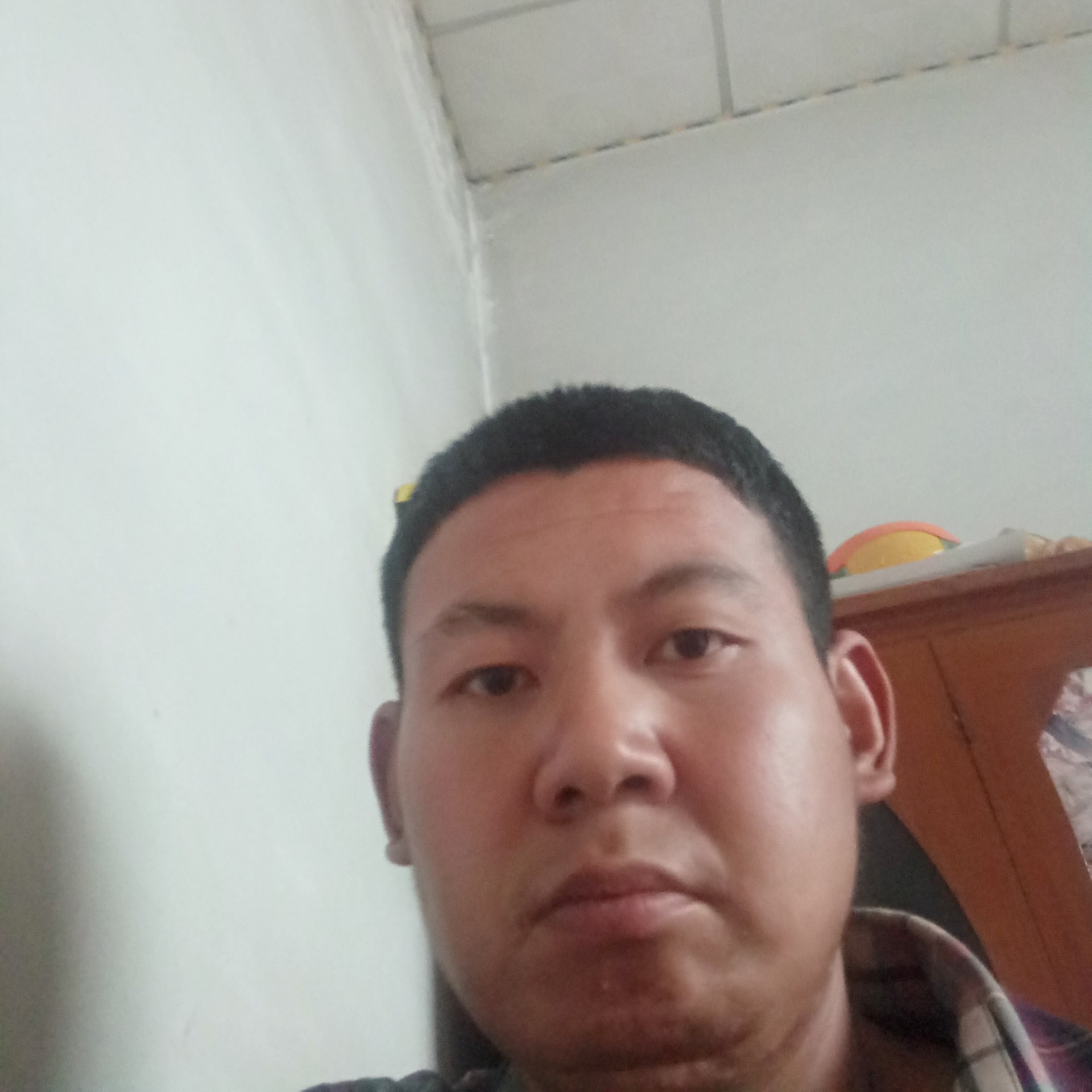 小白菜漫步想人陪的照片