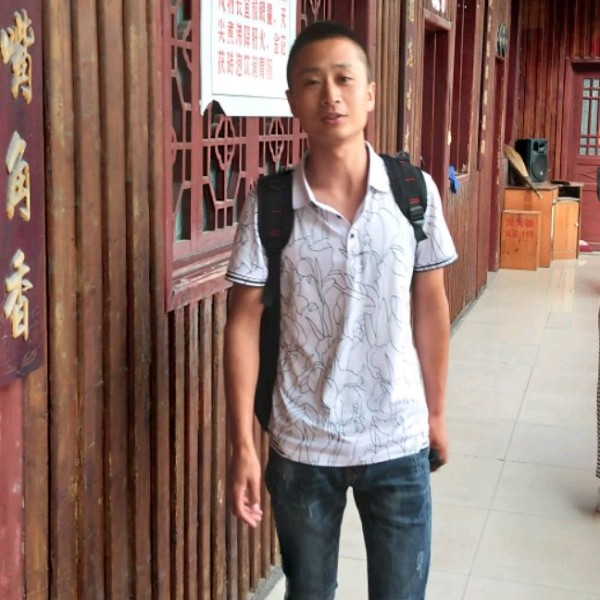 玩命花瓣的照片