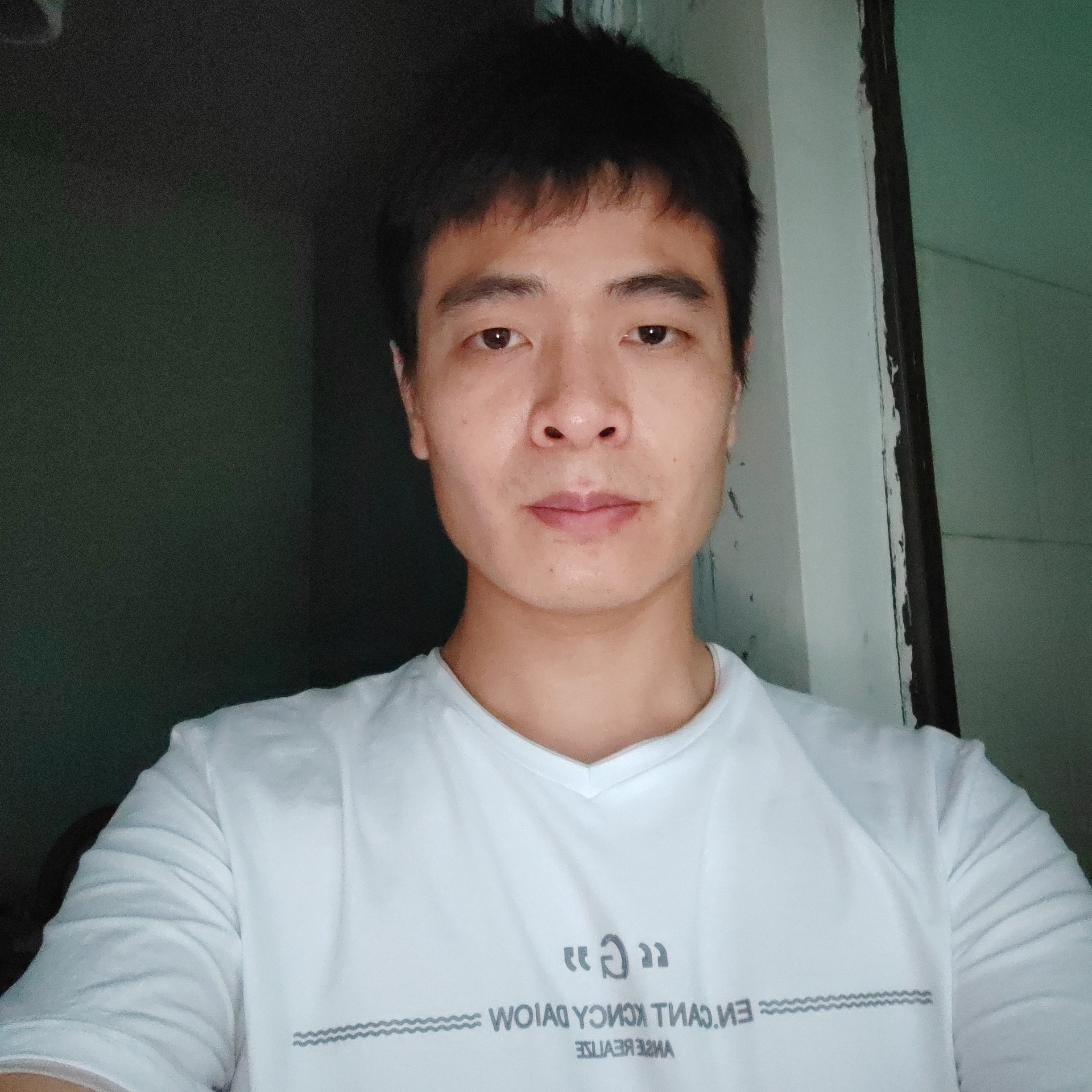 长颈鹿保卫聪慧的照片