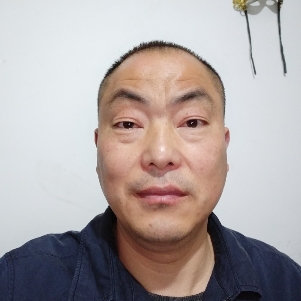 做个老实人的照片