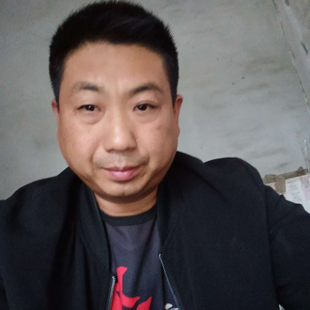 龙猫明媚的照片