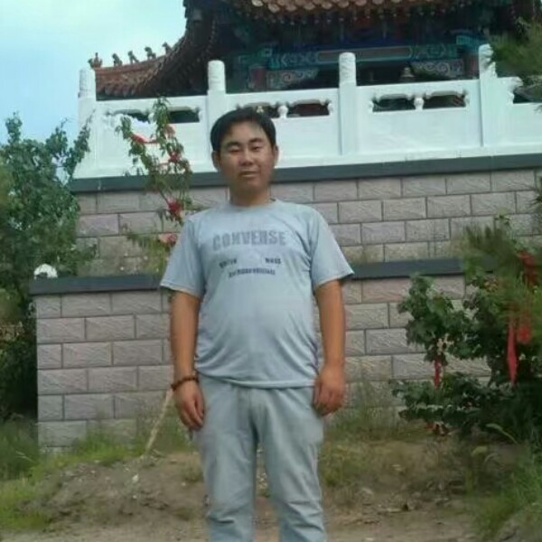 南极一颗松的照片