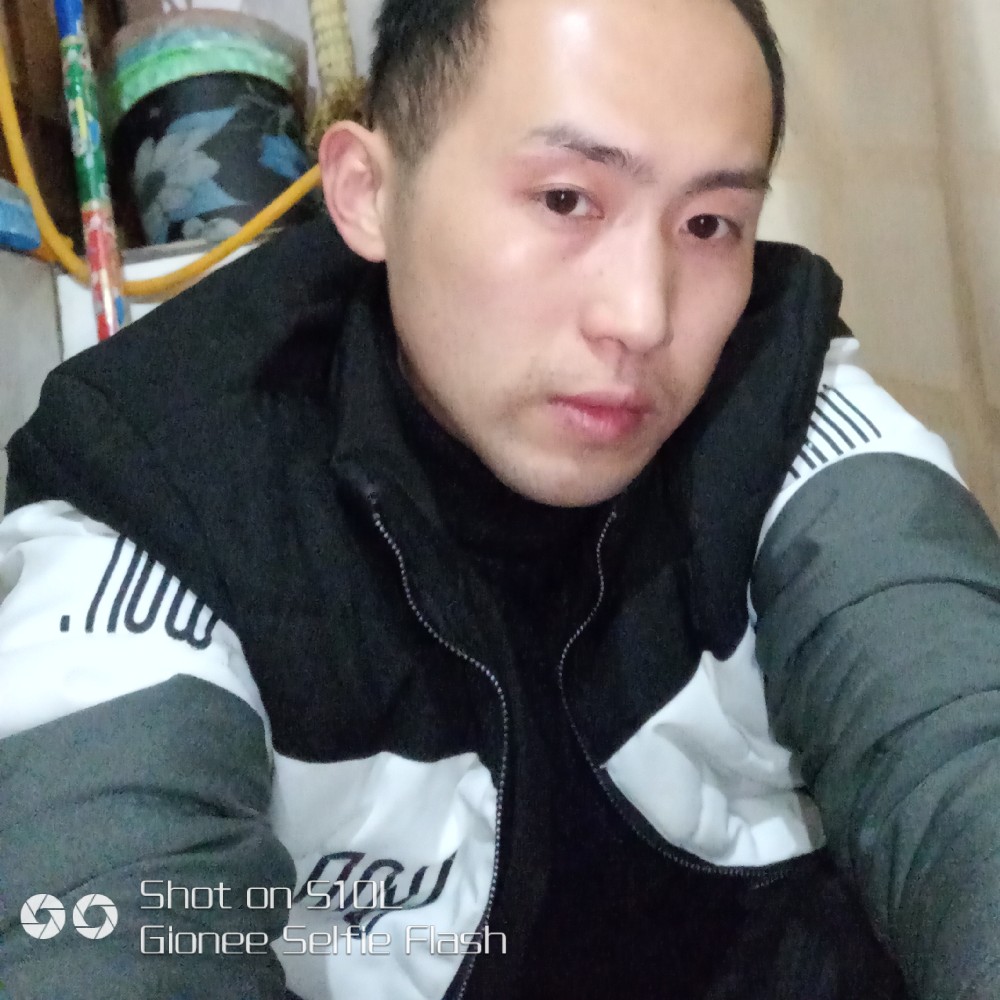 随心而走的照片