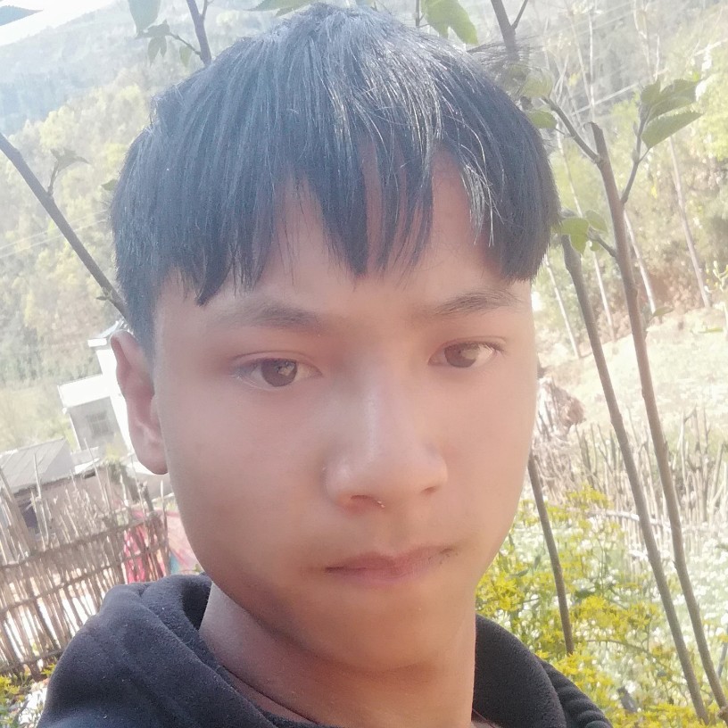 刘鑫12345678的照片