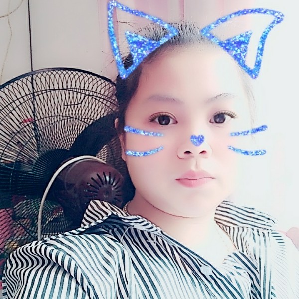 紫色迷情花的照片