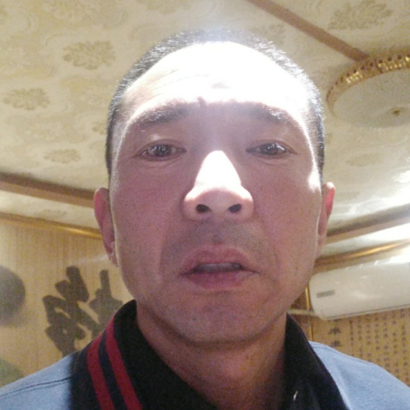 狗群的照片