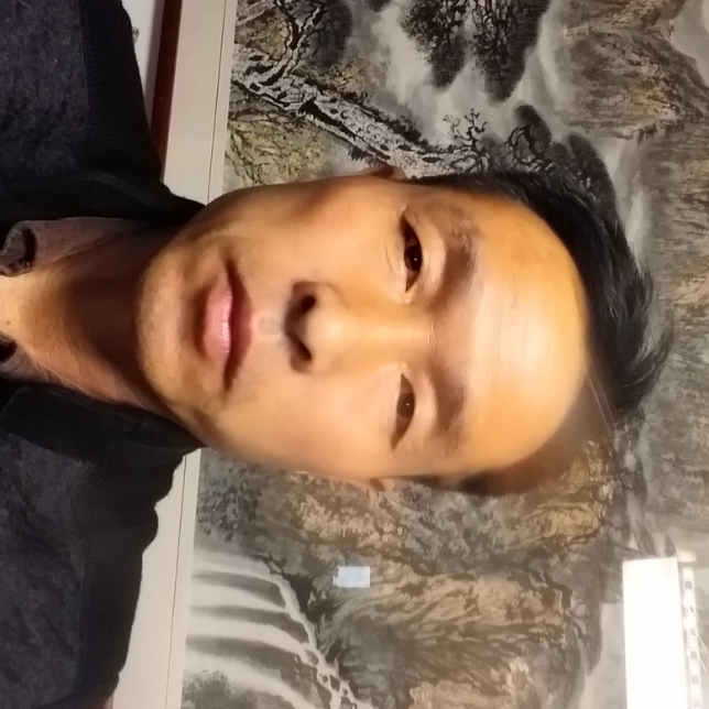 年轻鼠标的照片