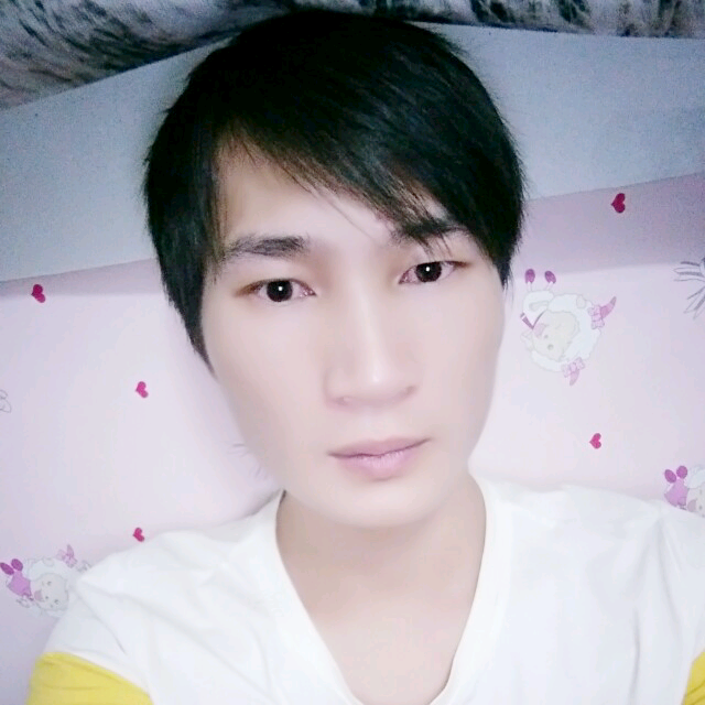 自由請小海豚的照片