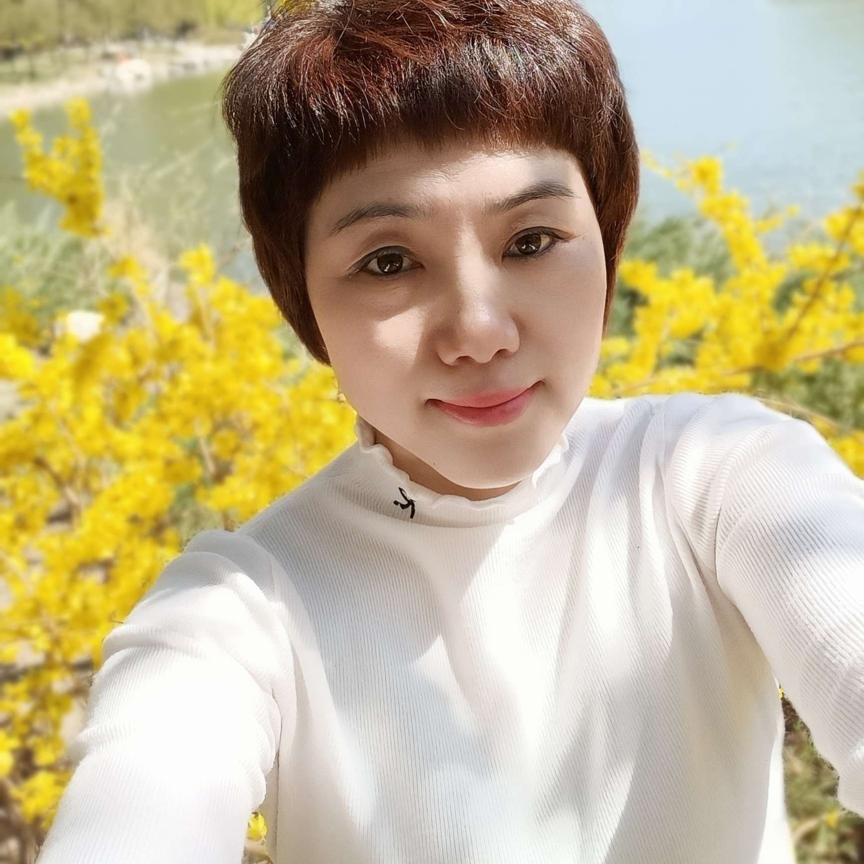 黄桃披萨的照片