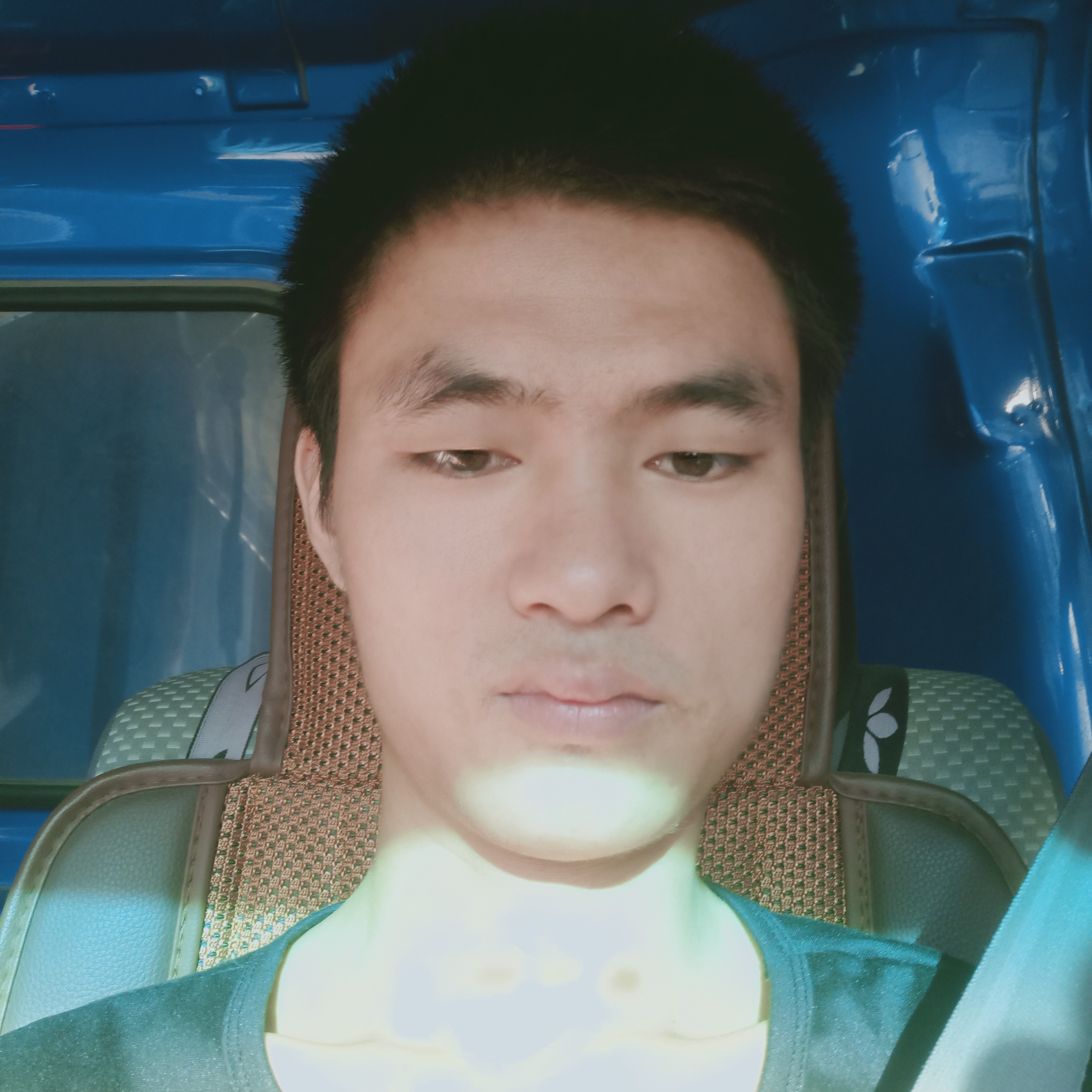 白猫蹁跹初夏的照片