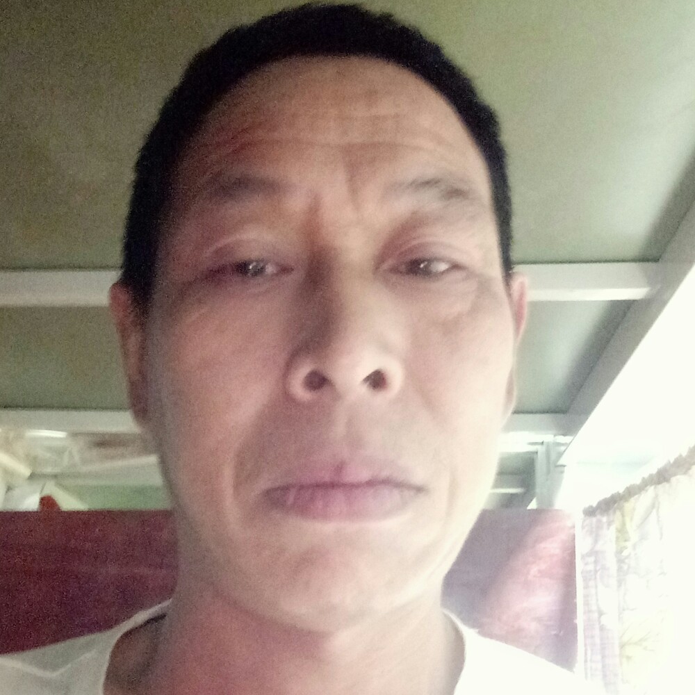 黑猫放弃背后的照片