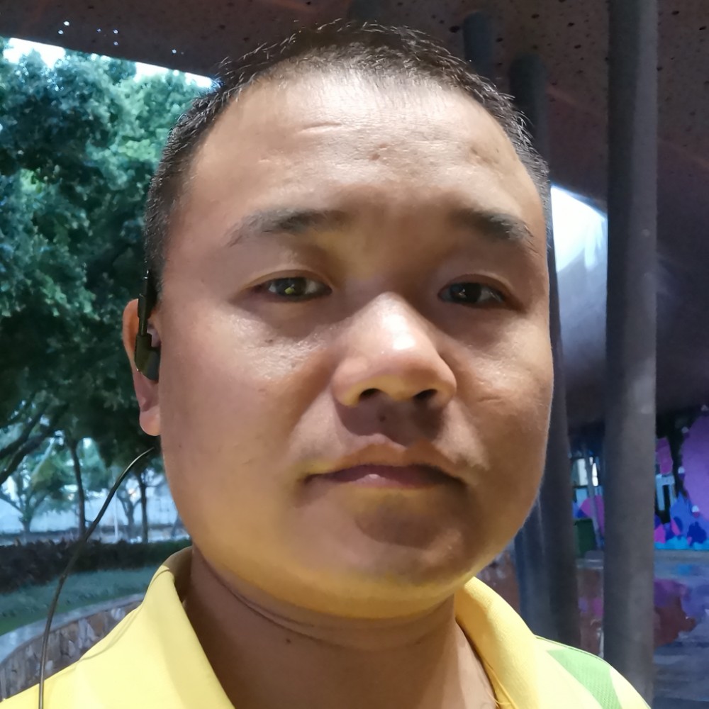 标致演变大碗的照片