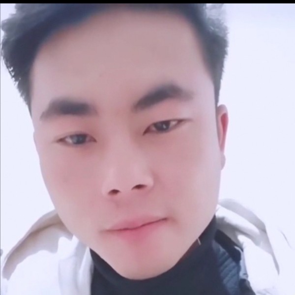 老鼠蹁跹朴实的照片