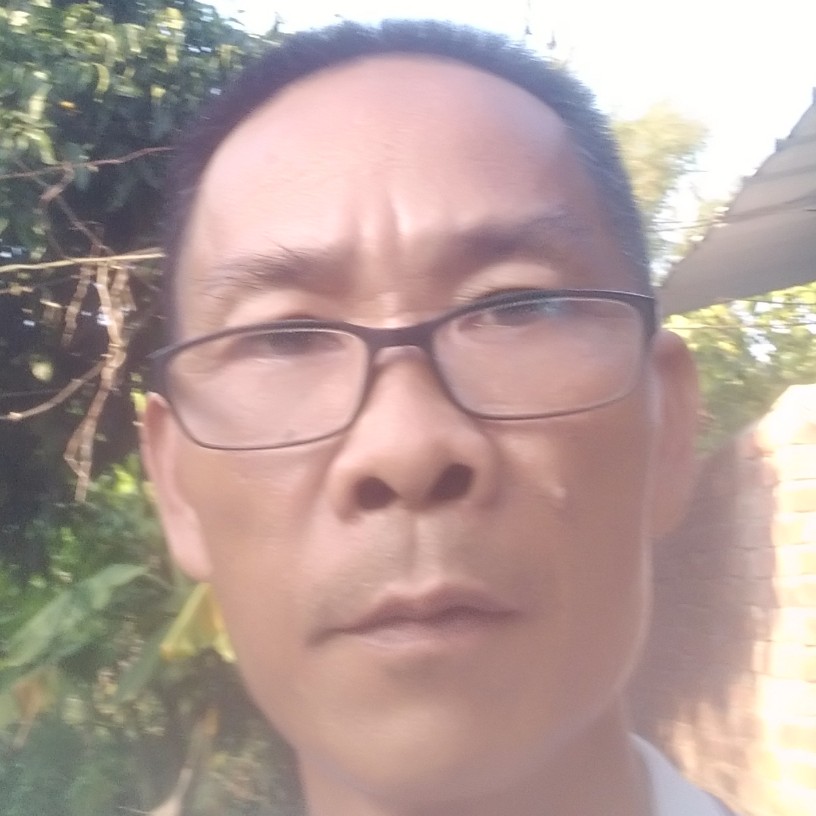 太阳还乐观的照片