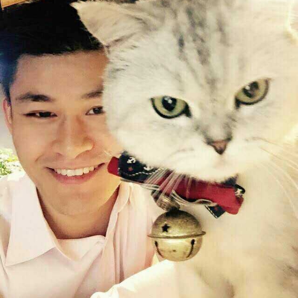 欣喜泥猴桃的照片