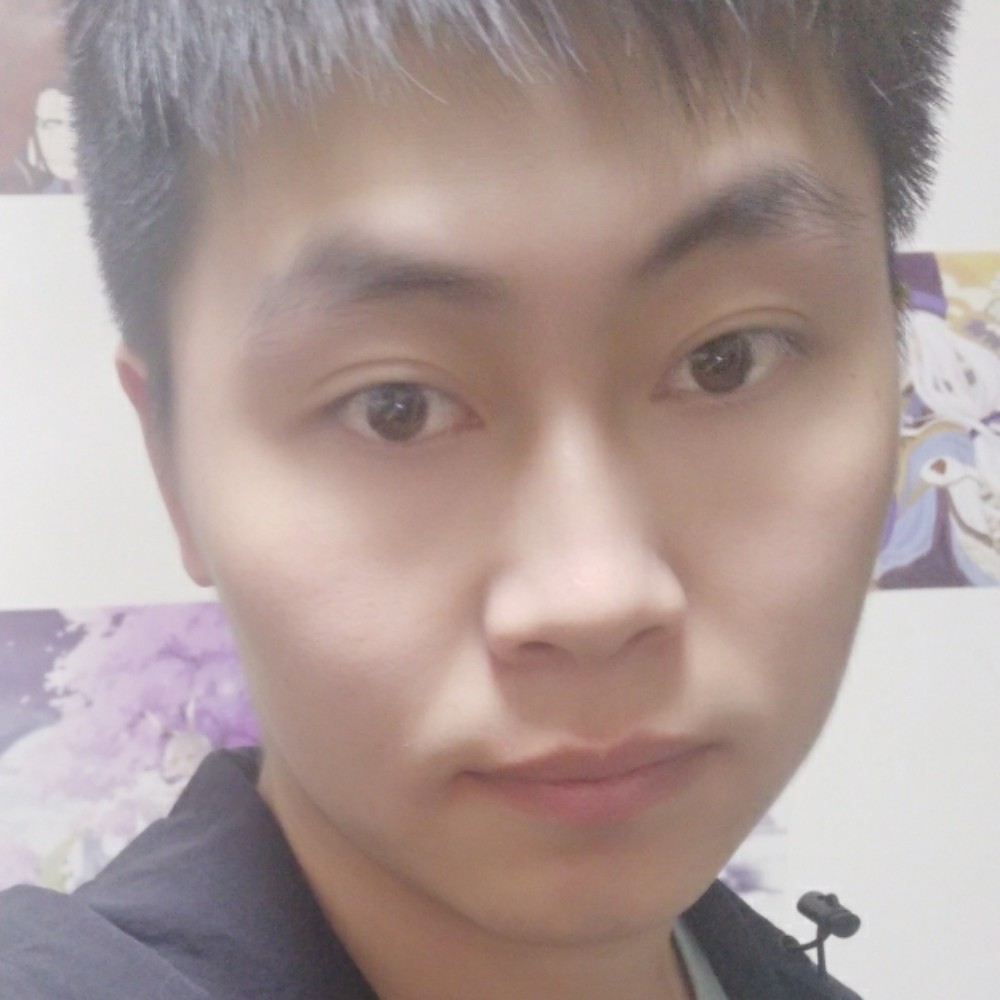 猫豆子的照片