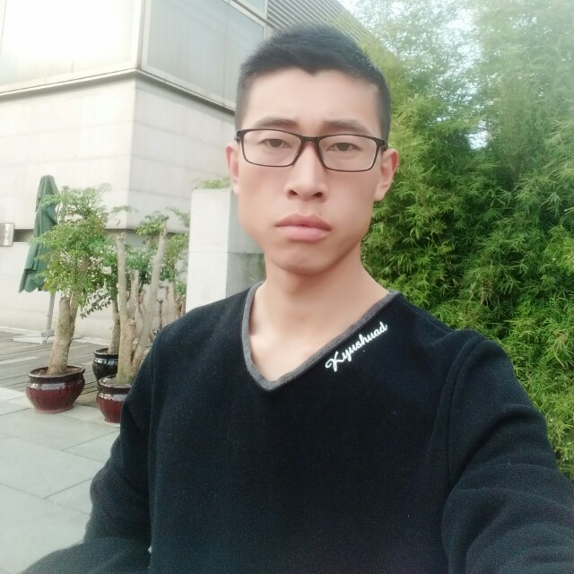 苹果金毛的照片