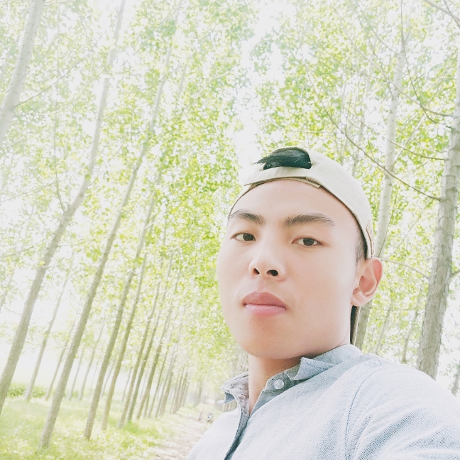 哈密的瓜不哈密的照片