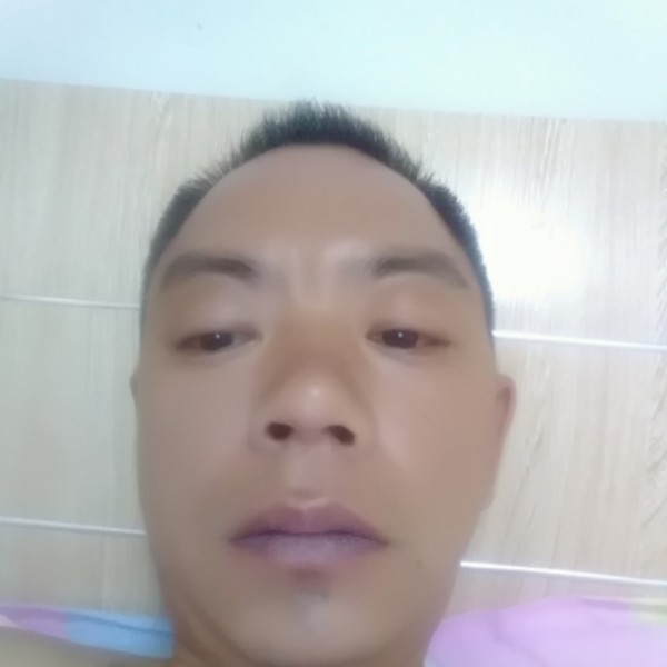 从容笑小蚂蚁的照片