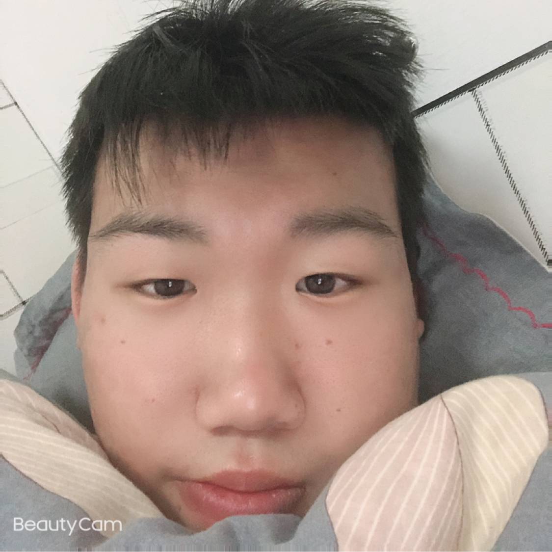 小懒猪邂逅大意的照片