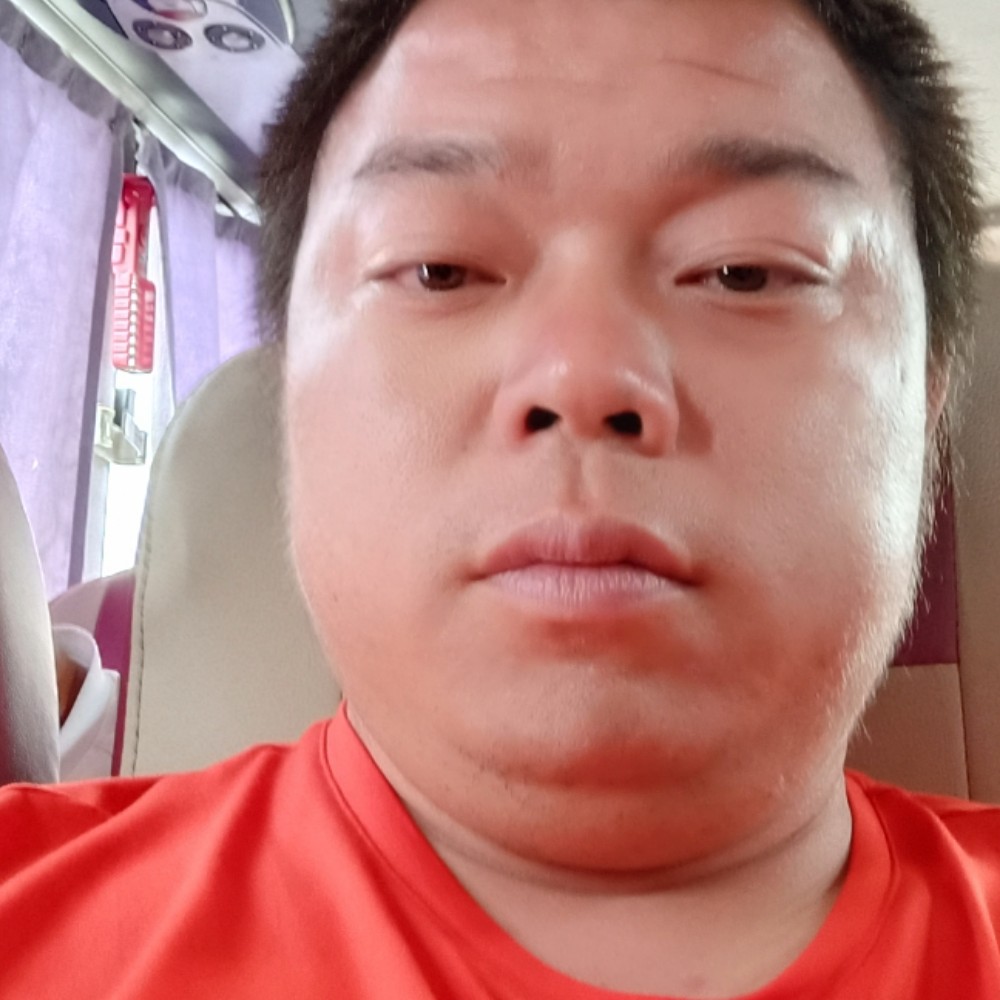 离不开的忘忧草的照片