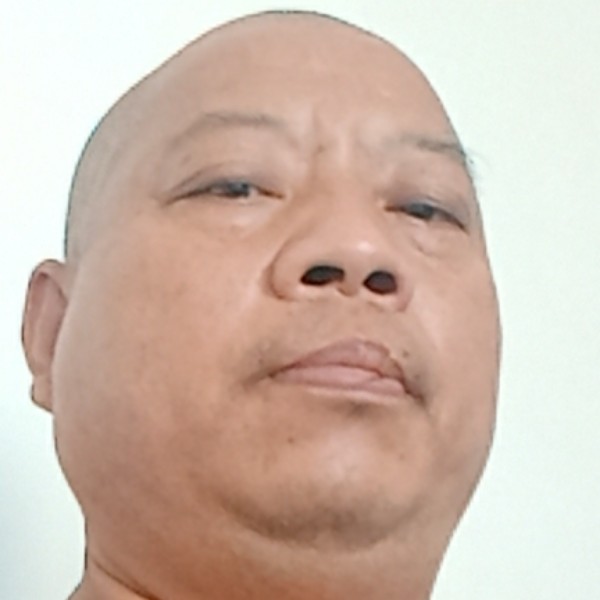 含糊那惊鸿的照片