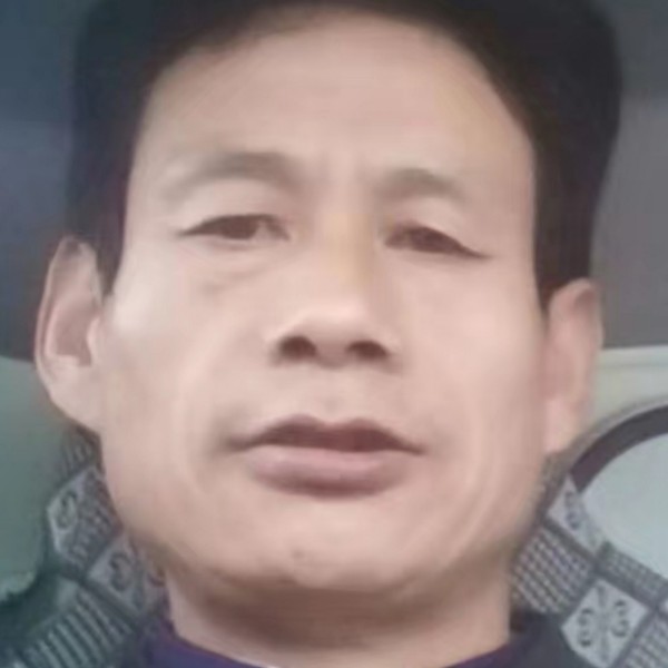 烂漫凝眸菠萝的照片