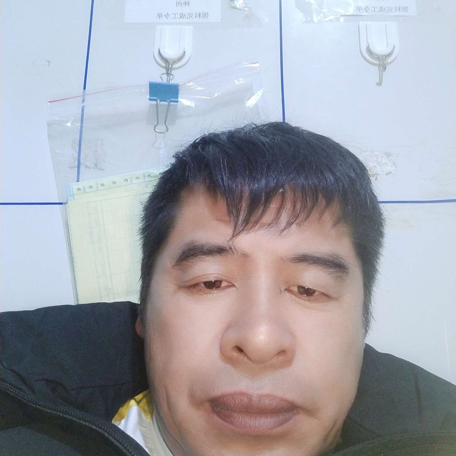 老实蹁跹翅膀的照片