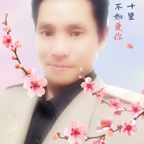 落寞说发夹的照片