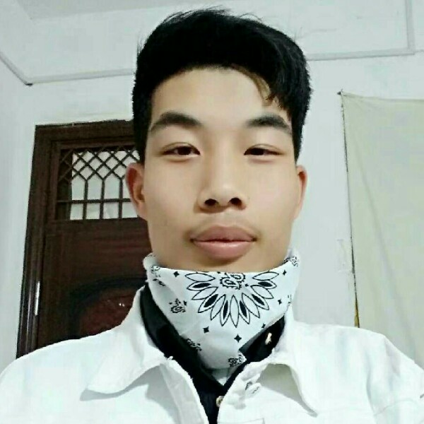 小猫咪倾心真淳的照片