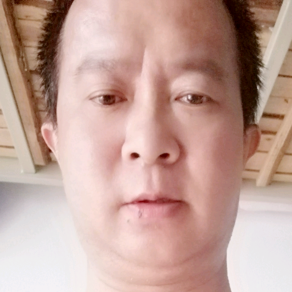 春天老实的照片