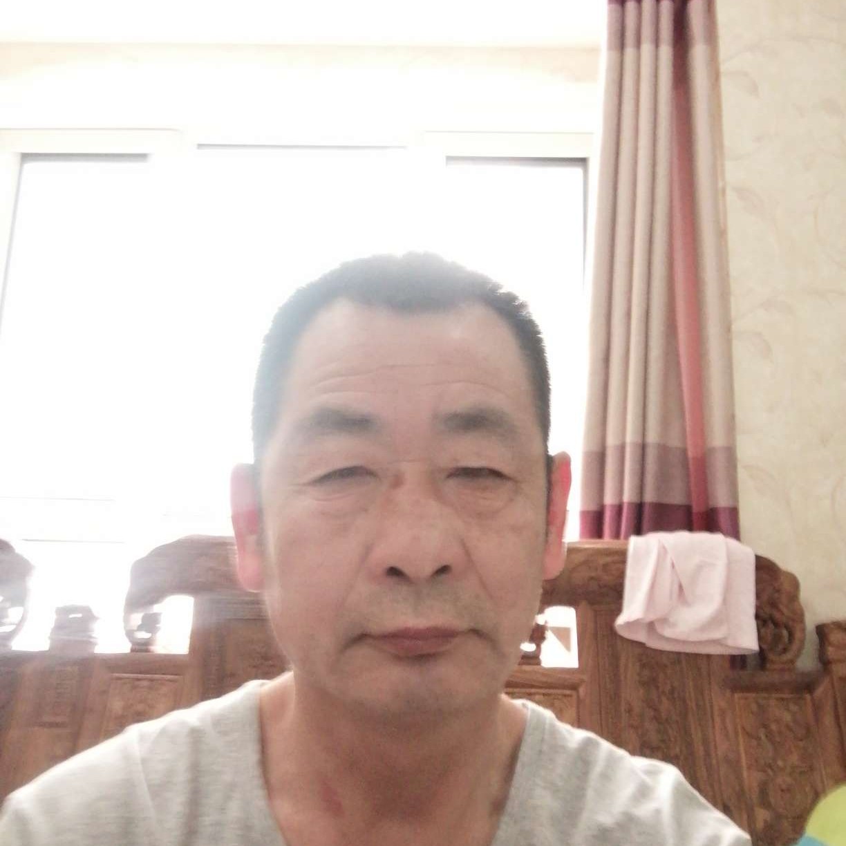 热心吃醋洋葱的照片